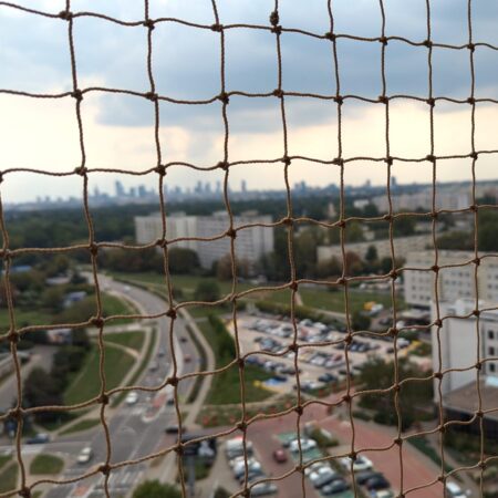 Zbliżenie na siatkę w oknie a w tle panorama centrum Warszawy.